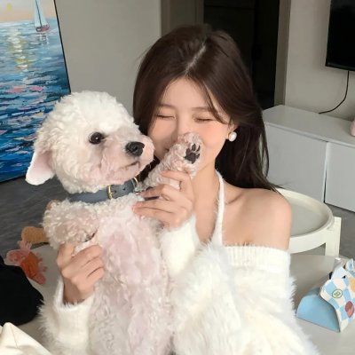 情场三杰封面