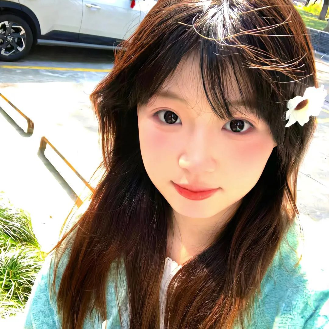 灵长类封面