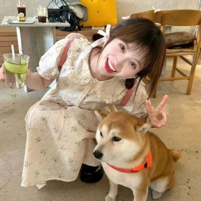 完美的骗子封面
